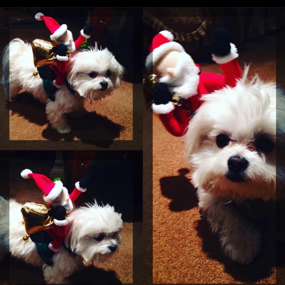 Costumes - Picture 3 of 8